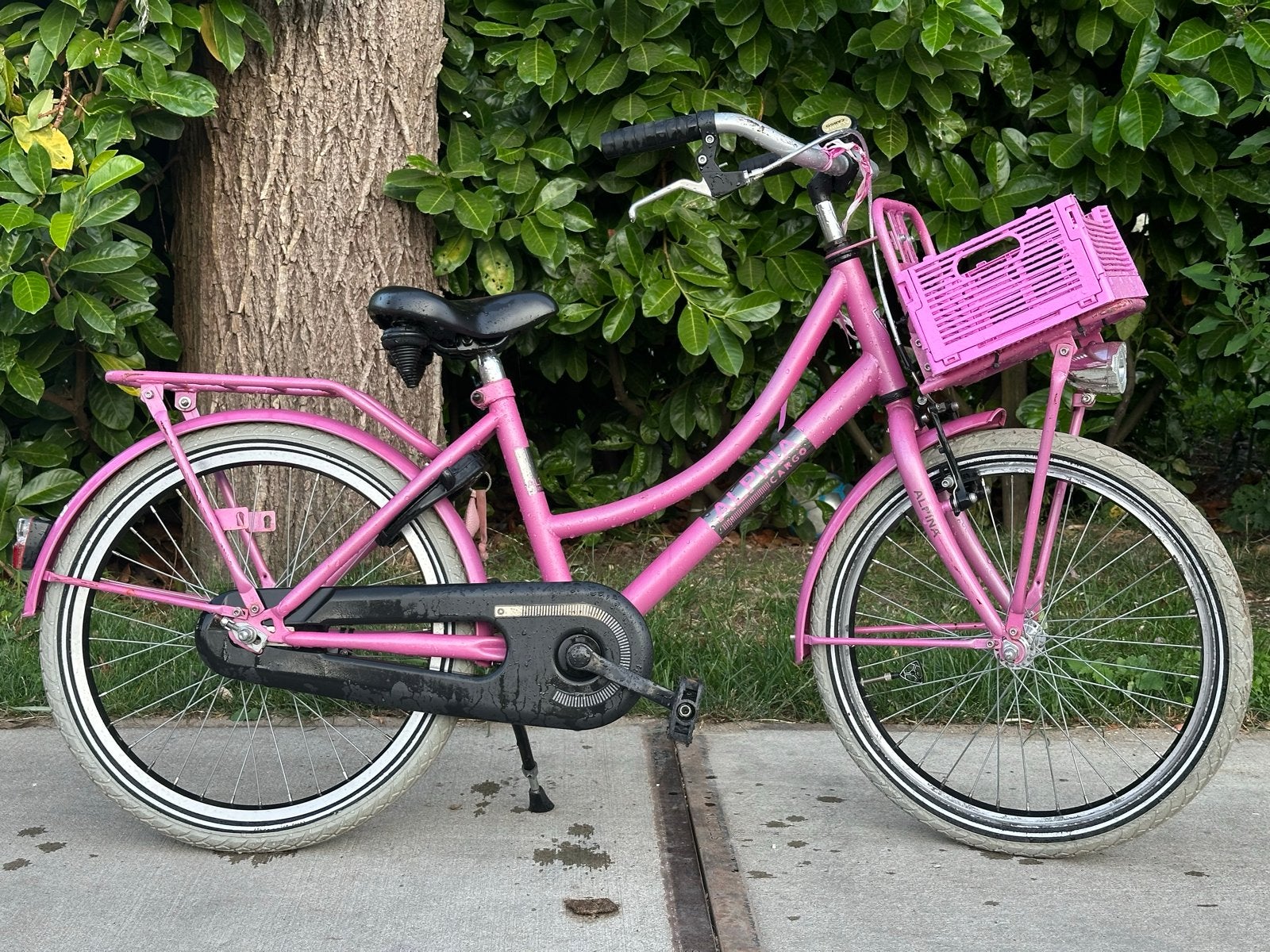 Alpina fiets 20 inch - Zeer net kinderfietsje roze, Ophalen, Velgrem, 20 inch, Handrem