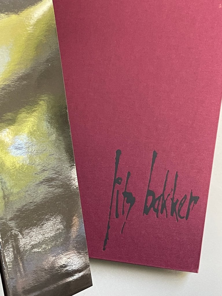 Ook ik ben schilder Jits Bakker (2004), Ophalen of Verzenden, Zo goed als nieuw, Schilder- en Tekenkunst