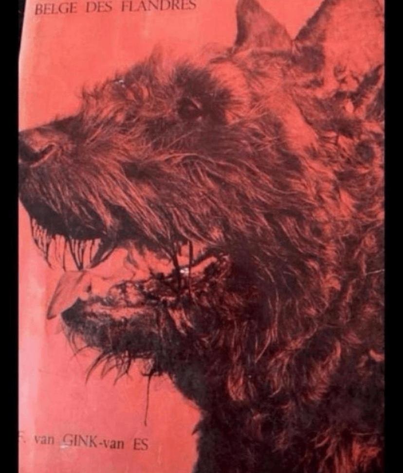 BOUVIER BELGE DES FLANDRES, Boeken, Verzenden, Gelezen, Honden