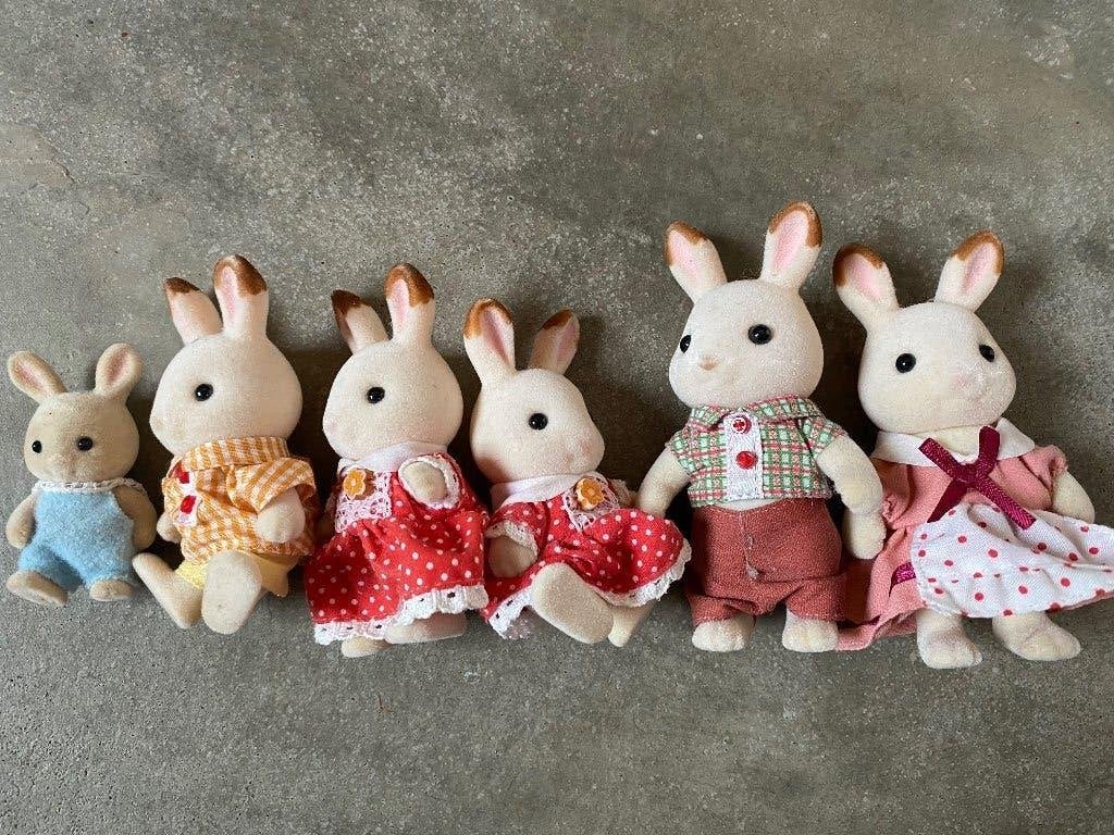 Sylvanian familiehuis konijntjes, Ophalen of Verzenden, Gebruikt