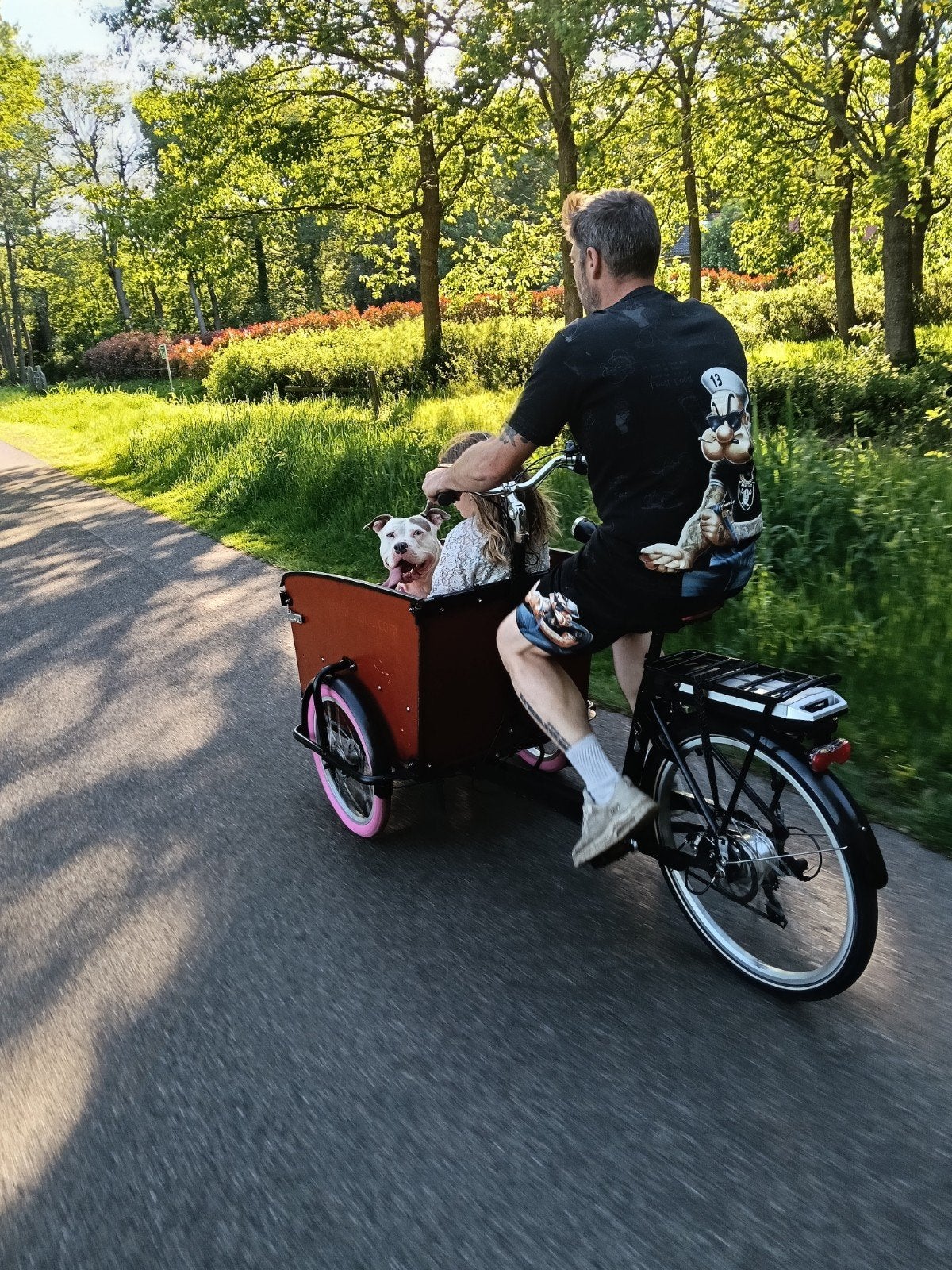 Elektrische bakfiets Babboe dog-e, Fietsen en Brommers, Fietsen | Bakfietsen, Ophalen, Gebruikt