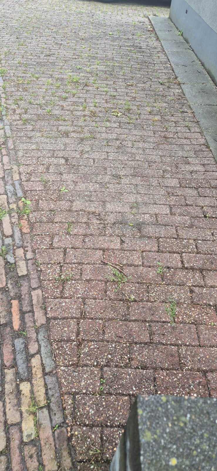 Gratis 12m2 klinkers, Ophalen, Gebruikt, Beton, Klinkers
