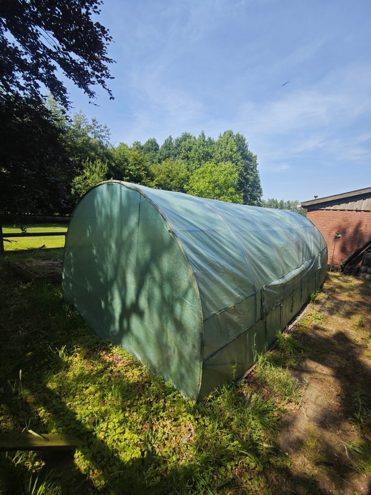 Tunnelkas 6 x 3 x 2 Tuinkas, Broeikas, Gebruikt, Folie, Kweekkas, Ophalen