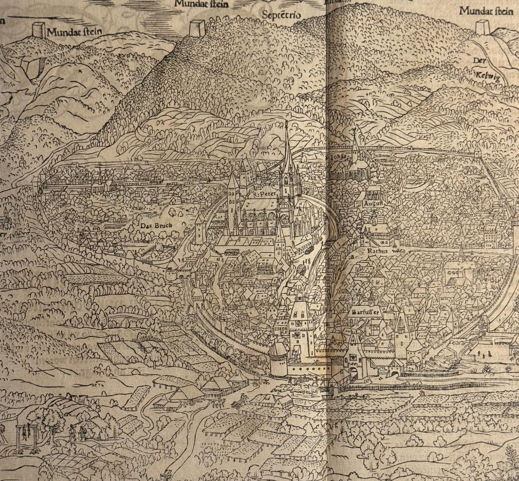 Die Statt Wijssenburg Münster 16e eeuw Wissembourg, Antiek en Kunst, 28 cm, Cartografie, Ophalen of Verzenden, Houtsnede
