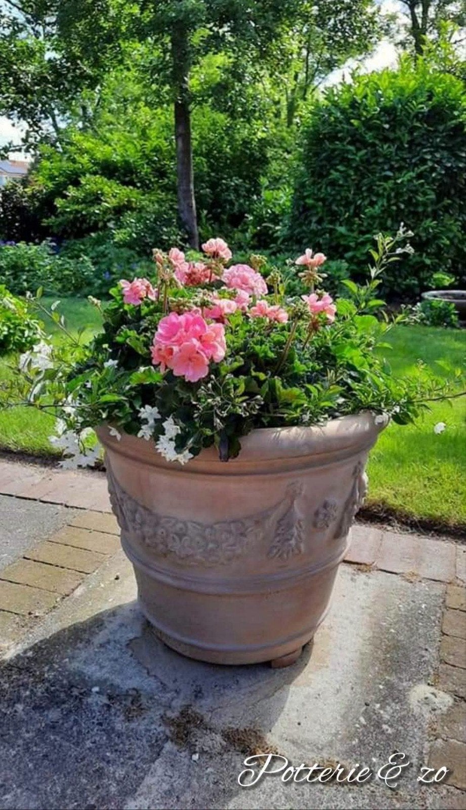 Florentine met druivenrank ( grote set, zware potten), Ophalen, 40 cm of meer, Rond, Nieuw