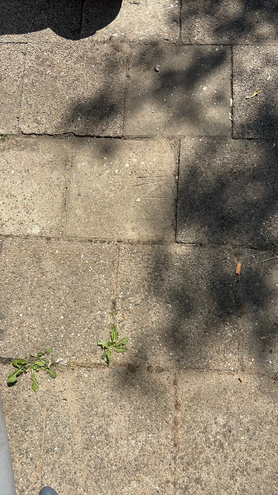 30x30 tegels, Ophalen, Zo goed als nieuw, Beton, Terrastegels