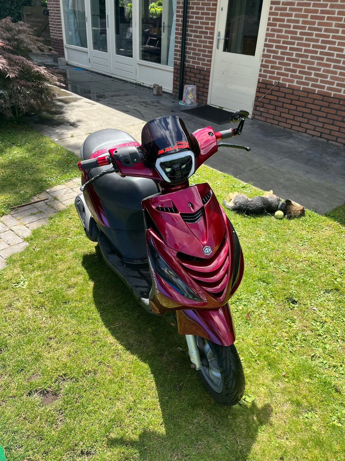 Piaggio Zip Scooter - 4T 50cc, Fietsen en Brommers, Scooters | Piaggio, Ophalen, Gebruikt, Maximaal 45 km/u, Zip