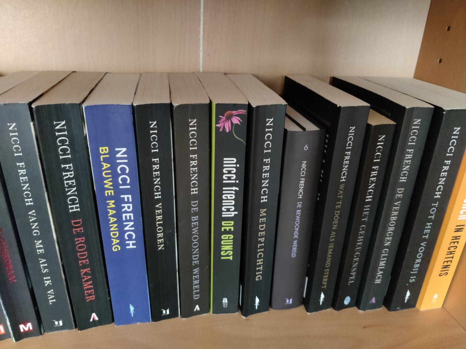 Nicci French Boekenpakket - 18 Thrillers, Boeken, Ophalen of Verzenden, Gelezen, Nicci French, Nederland