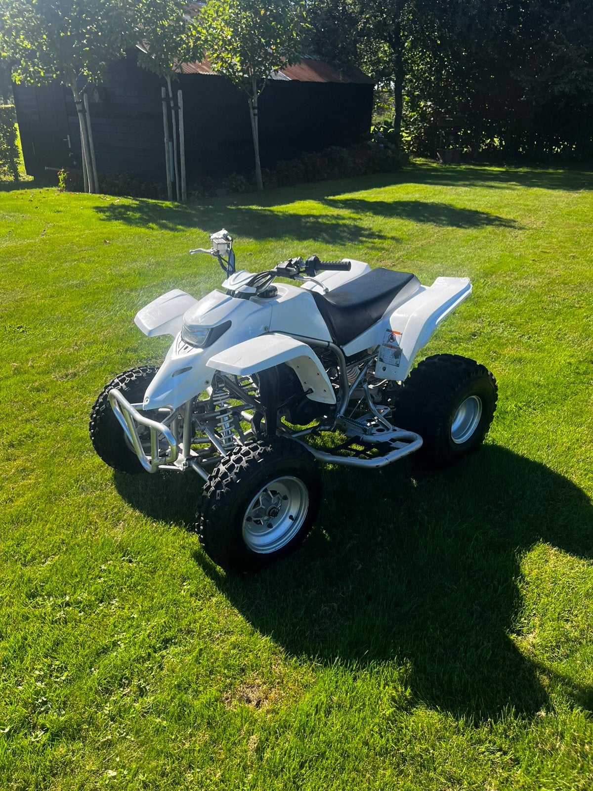 Yamaha YSF 200 Blaster 2007, Ophalen