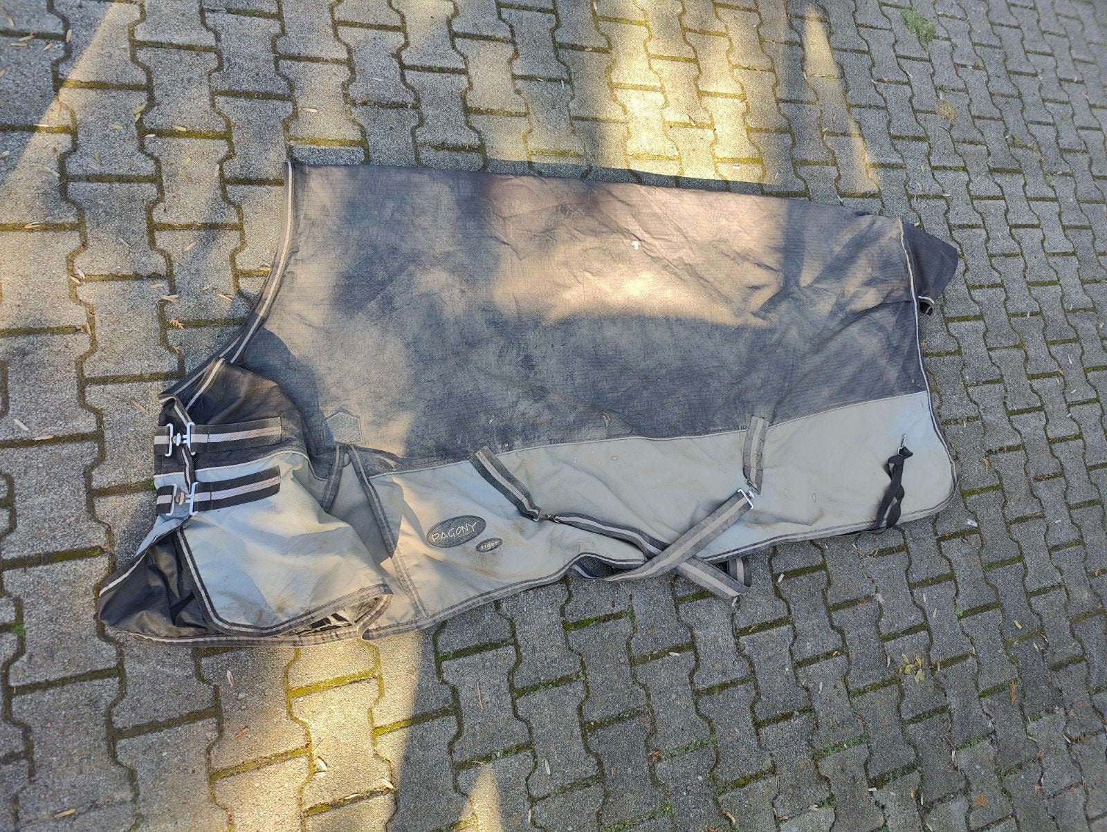 Regendeken 100gr maat 205, Dieren en Toebehoren, Paarden en Pony's | Dekens en Dekjes, 100 g, Gebruikt, Ophalen of Verzenden, Overige maten