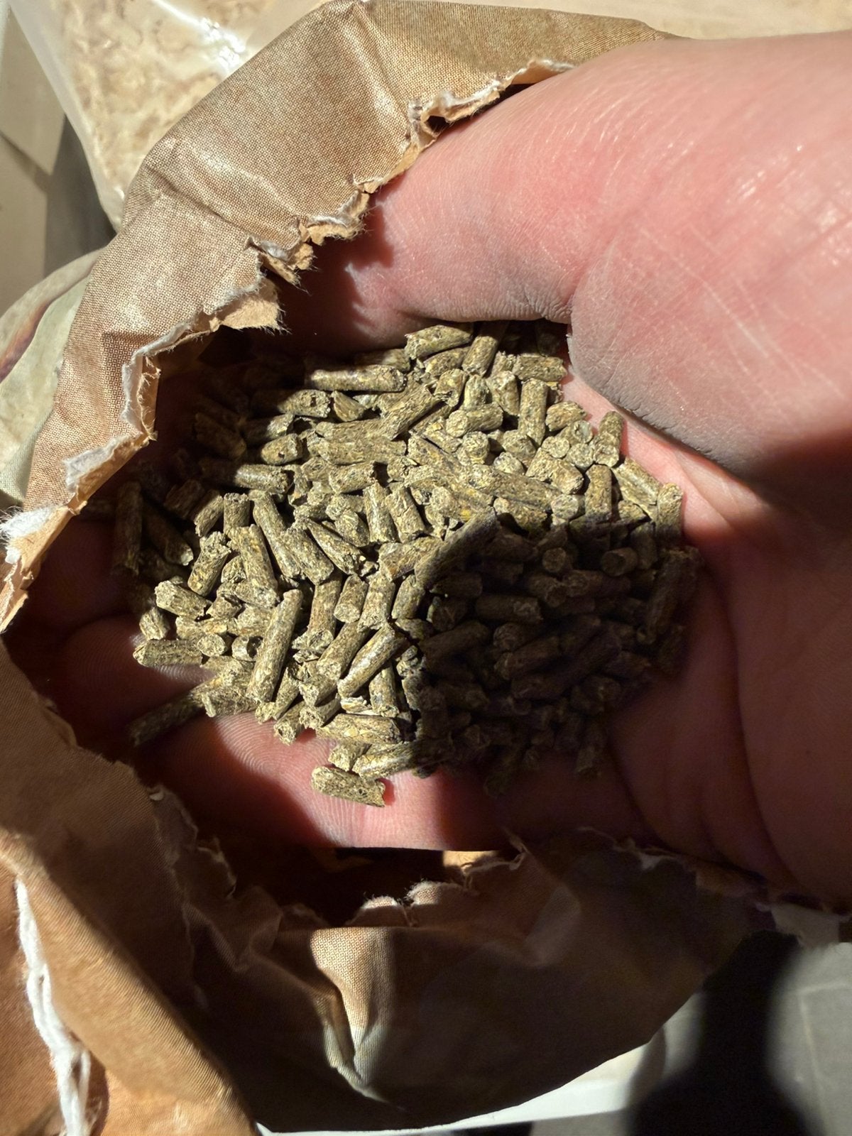 Konijnen voer (20kg) en zaagsel, Dieren en Toebehoren, Schildpad, 0 tot 2 jaar