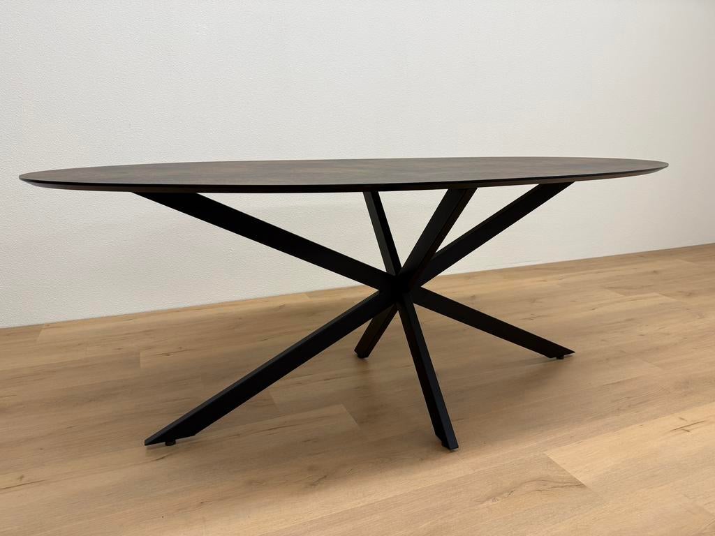 Ovale eettafel HPL Roest 200x100 - Direct Leverbaar, 100 tot 150 cm, 200 cm of meer, Ophalen of Verzenden, Zo goed als nieuw