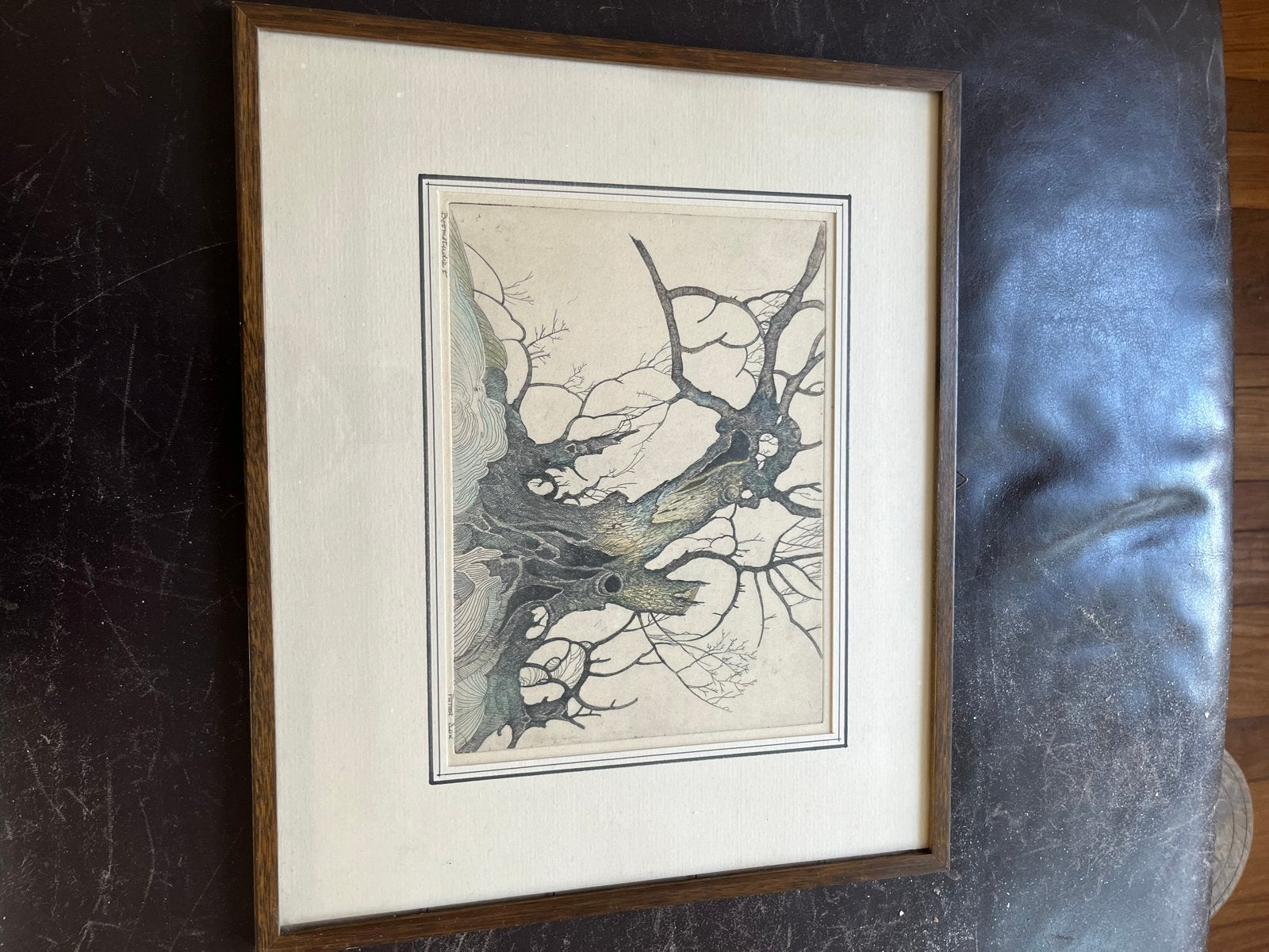 Ingelijste ets van een boom, mogelijk 20e eeuw, Antiek en Kunst, Kunst | Etsen en Gravures, Ophalen, Ingelijst, Ets, Flora en Fauna