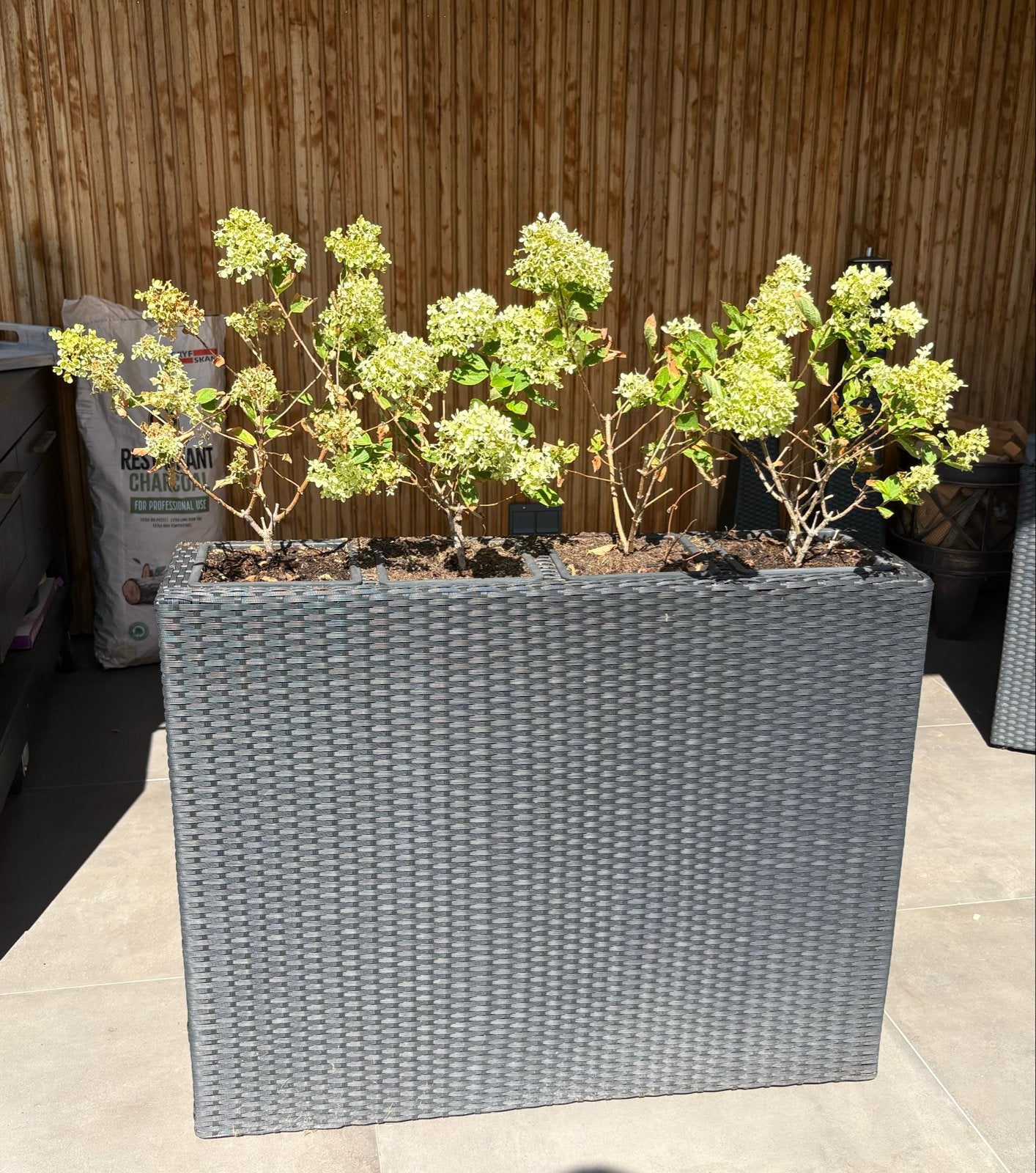 Grote grijze plantenbak met 4 vakken, Kunststof, Gebruikt, 100 cm of meer, Balkon