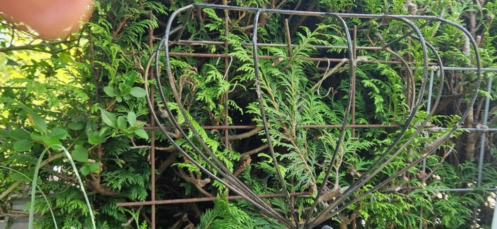 2 grote metalen plantenhangers (ruif model) (brocante), Gebruikt, Minder dan 60 cm, Ophalen of Verzenden, Balkon