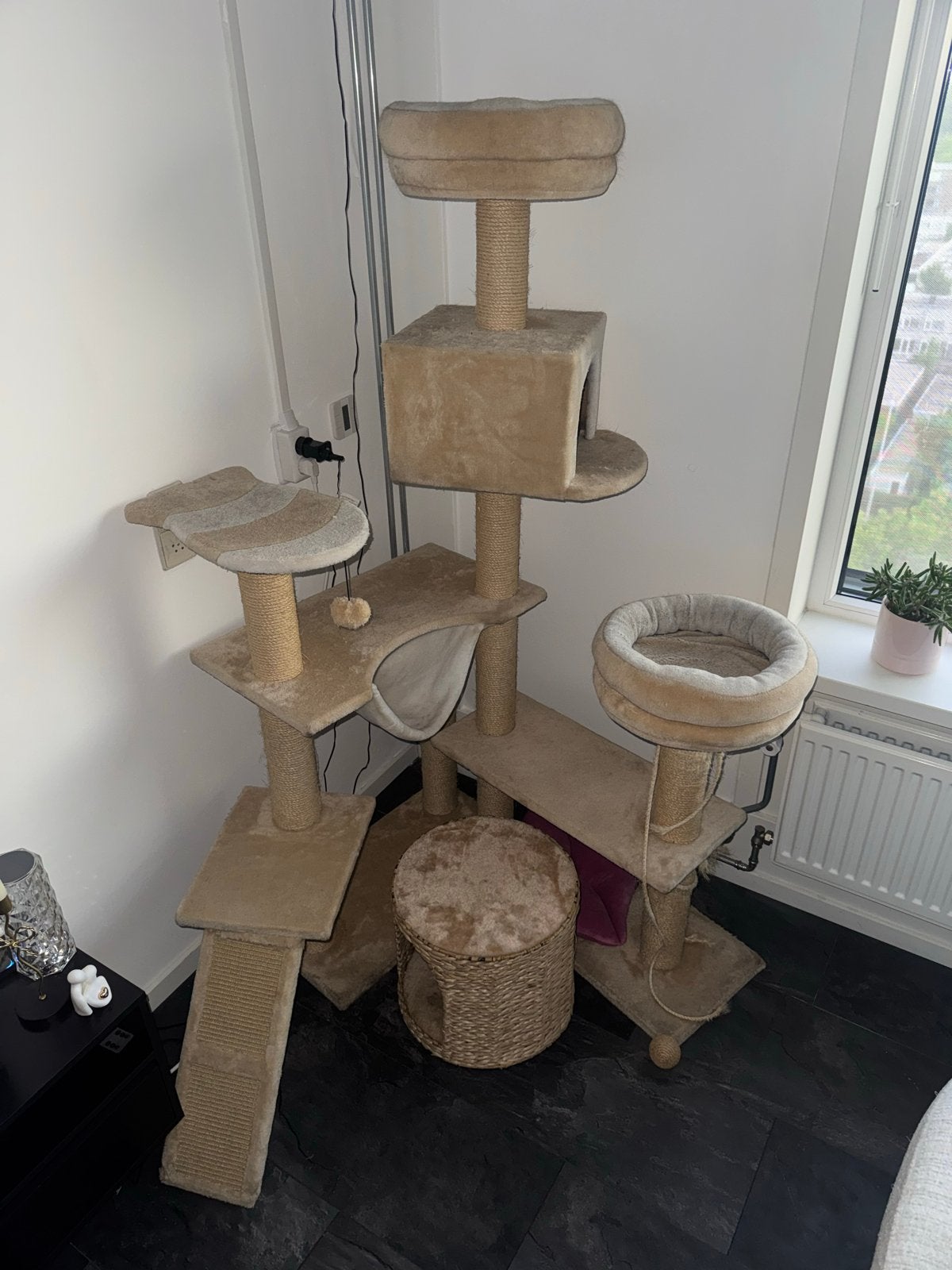 Krabpaal, Dieren en Toebehoren, Ophalen