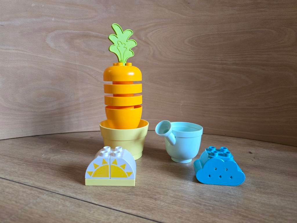 LEGO Duplo Groeiende Wortel 10981 - Educatief Speelgoed, Ophalen of Verzenden, Zo goed als nieuw, Overige typen