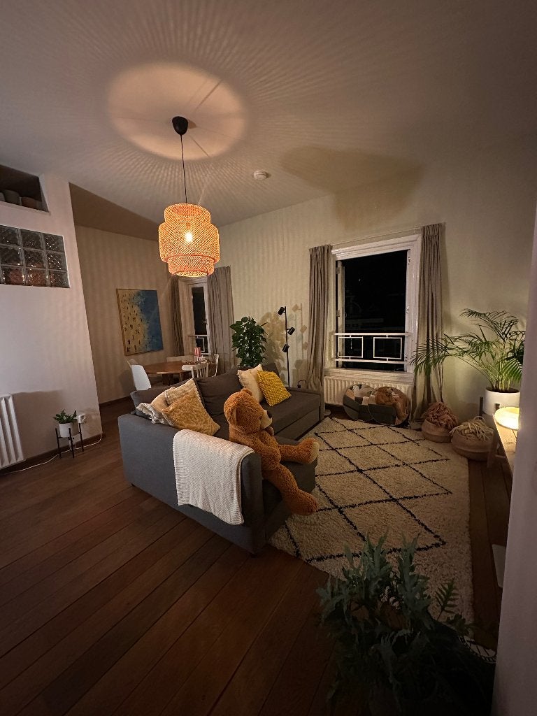 Appartement Nijmeegse Vierdaagse, Huizen en Kamers, Kamers te huur, 35 tot 50 m², Nijmegen