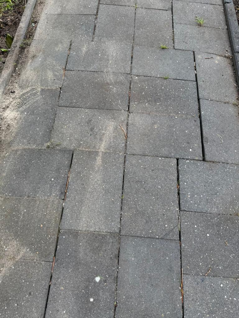 Gratis 750 stuks betontegel 20x30 cm, Ophalen, Gebruikt, Beton, Terrastegels