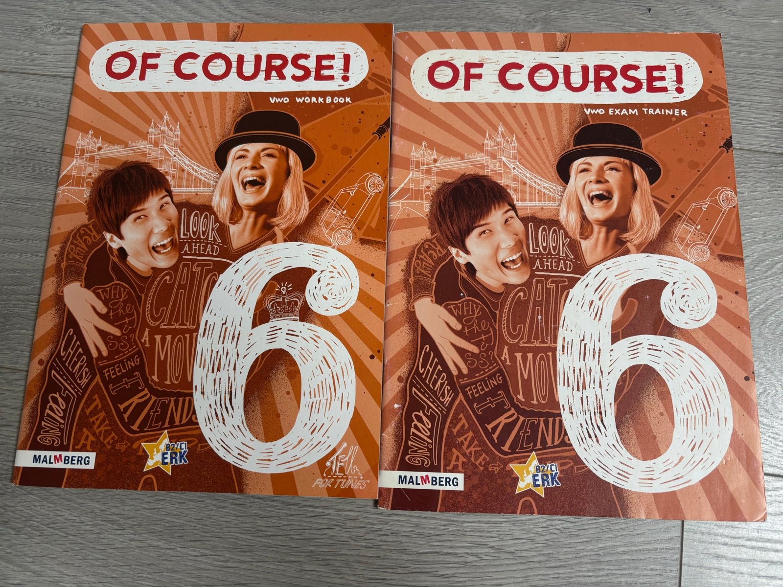 Of Course! VWO 6 Werkboek & Examentrainer Engels Malmberg, Boeken, Ophalen of Verzenden, Zo goed als nieuw, VWO, Engels