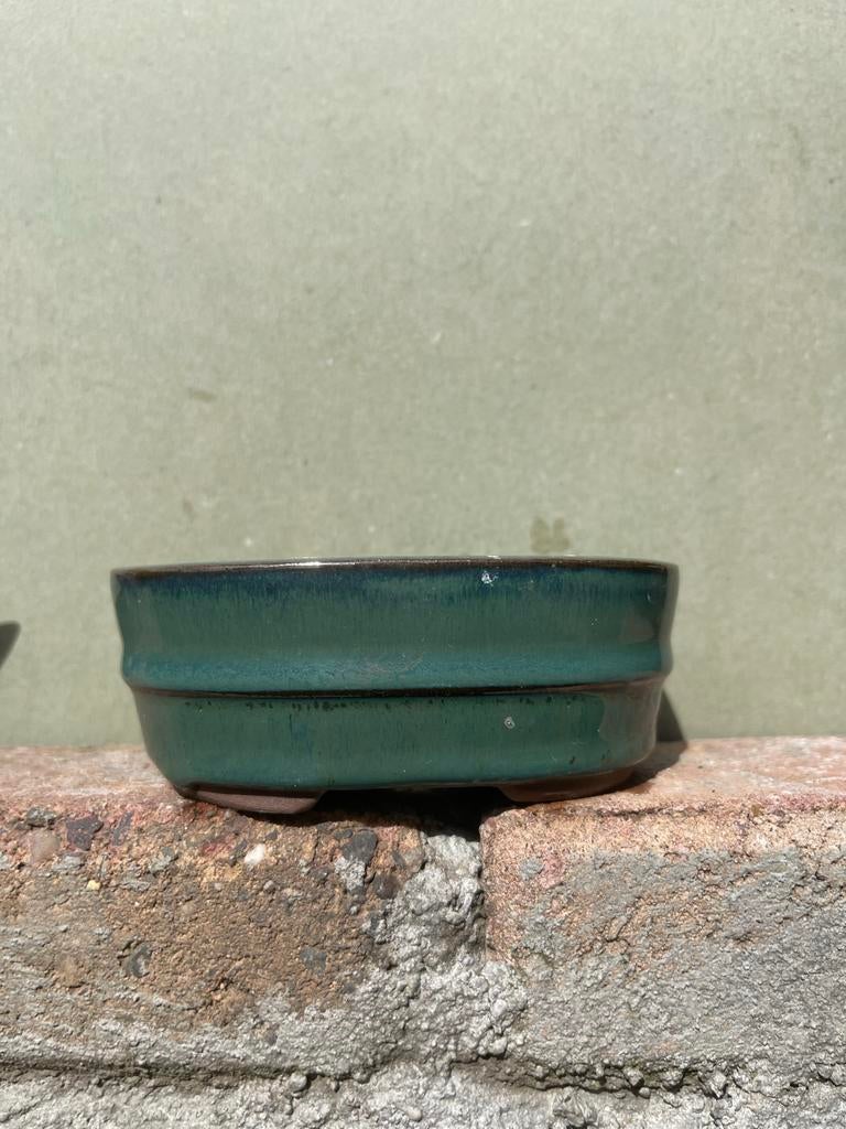 Diverse Bonsai Bakjes - Keramiek en Steen, Overige materialen, Minder dan 30 cm, Verzenden, Minder dan 60 cm