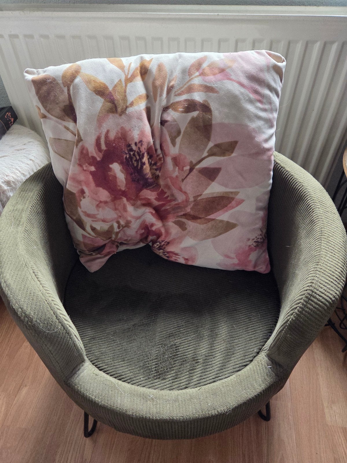 Erg mooie katten/ kleine honden stoel, Ophalen of Verzenden, Zo goed als nieuw, Katoen