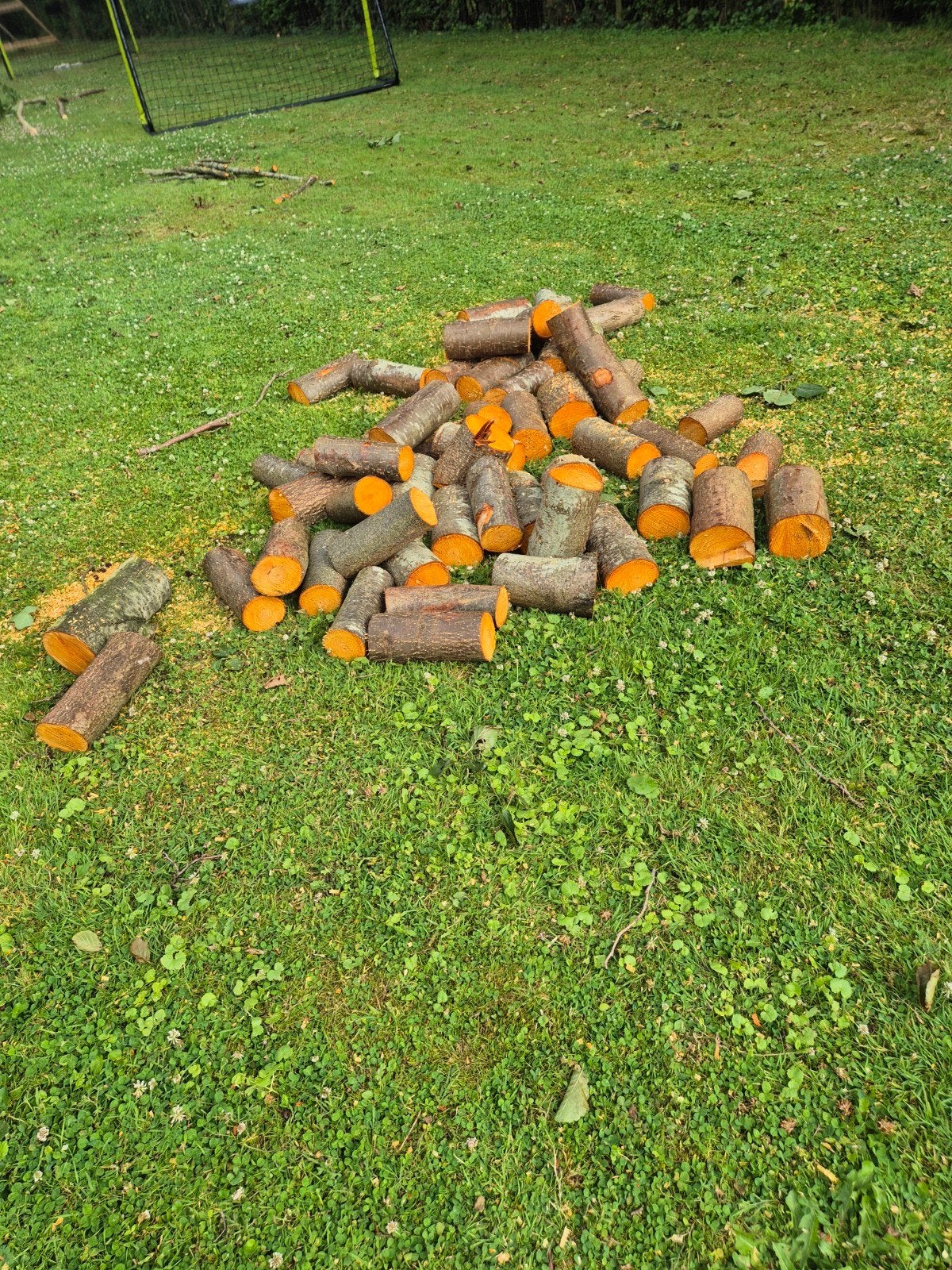 Vers gezaagd haardhout, 3 tot 6 m³, Ophalen, Elzenhout, Blokken