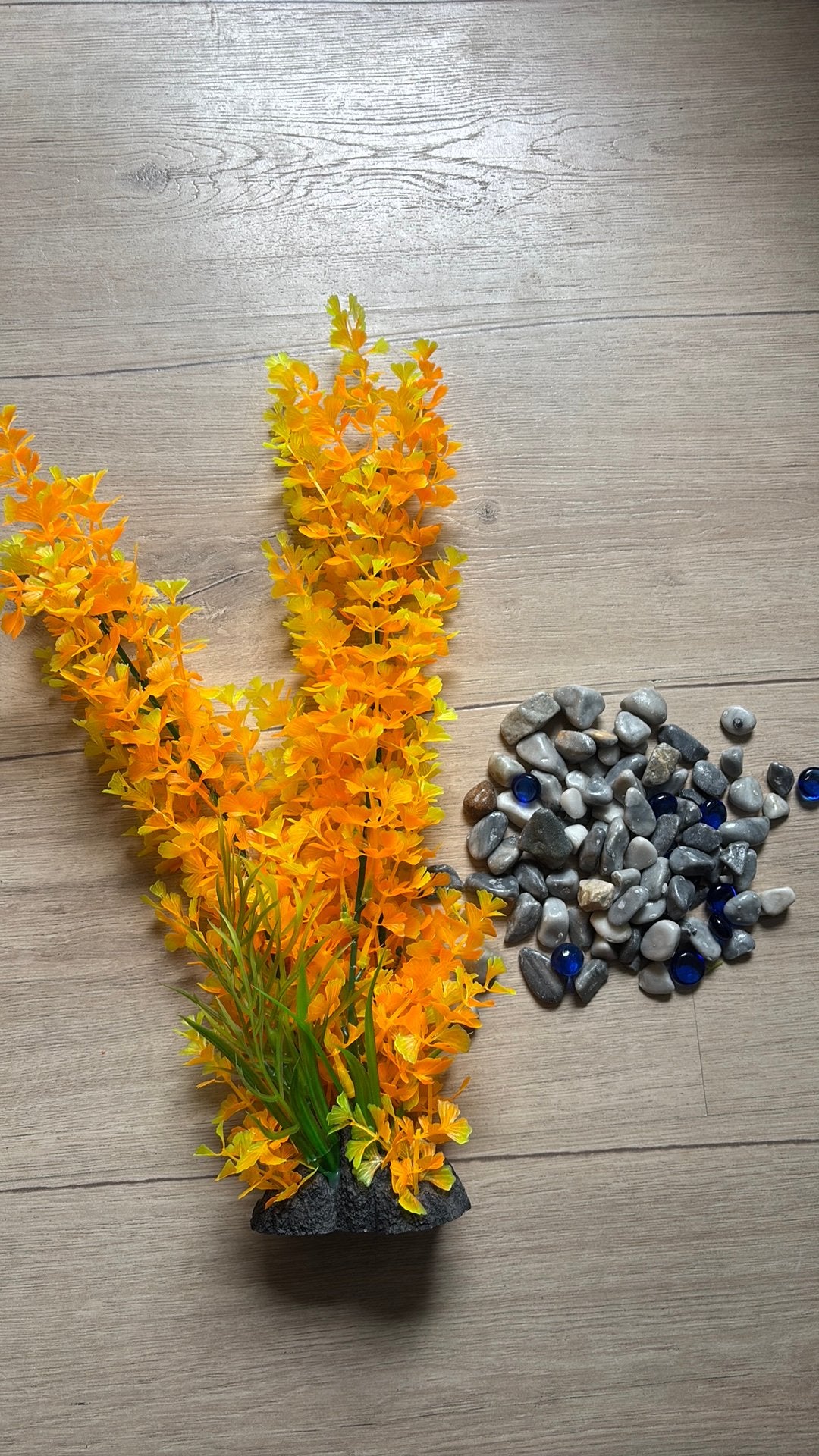 Stenen en plantje voor in vissenkom of aquarium, Ophalen, Leeg aquarium
