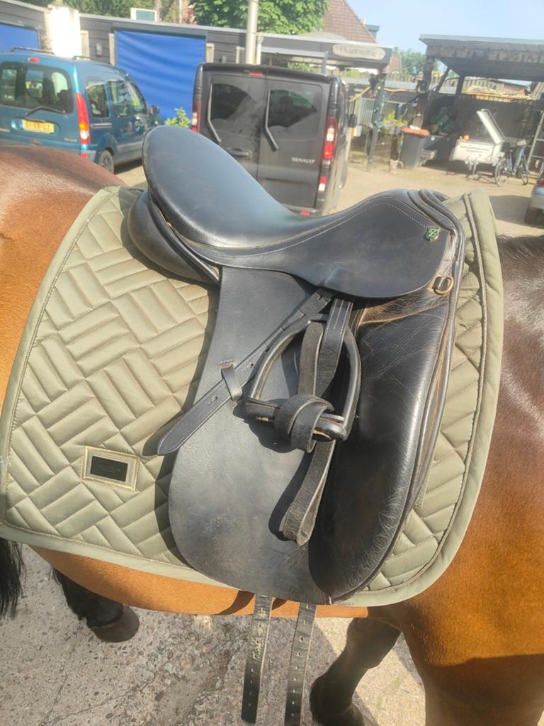Zadel, Dieren en Toebehoren, Pony's, Merrie, M, D pony (1.37m tot 1.48m), Recreatiepony, 11 jaar of ouder, Ontwormd, Ingeënt