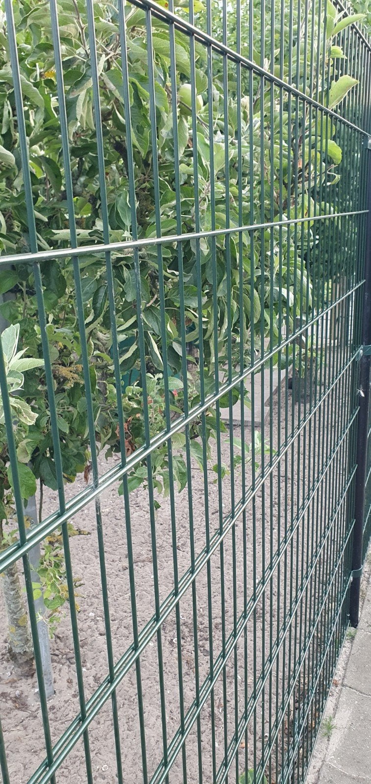 Dubbelstaafmat, dubbel staaf mat 180 cm hoog groen, Ophalen, Nieuw, IJzer, Dubbelstaafmat hekwerk