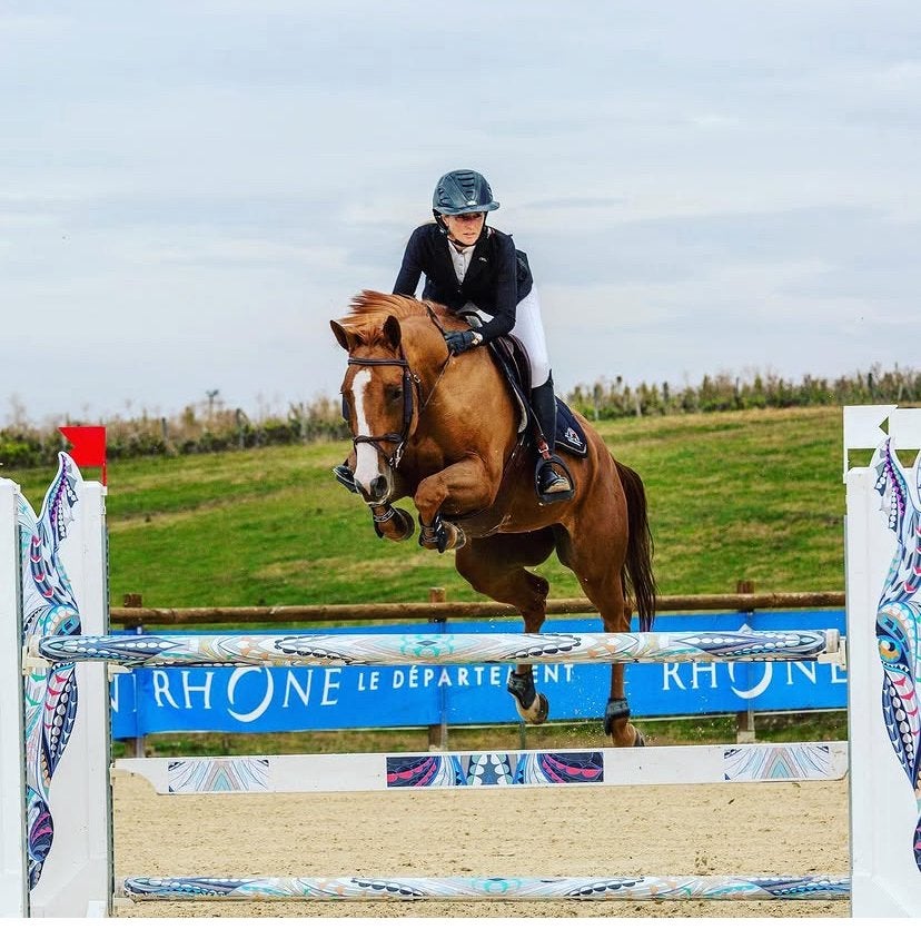 Super brave sport merrie met internationale ervaring, Merrie, Springpaard, Met stamboom, Niet van toepassing