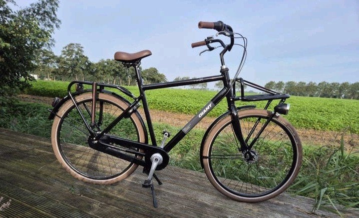 Giant triple x stadsfiets – 2023 – zeer weinig gebruikt, Ophalen, Versnellingen, Giant, Zo goed als nieuw
