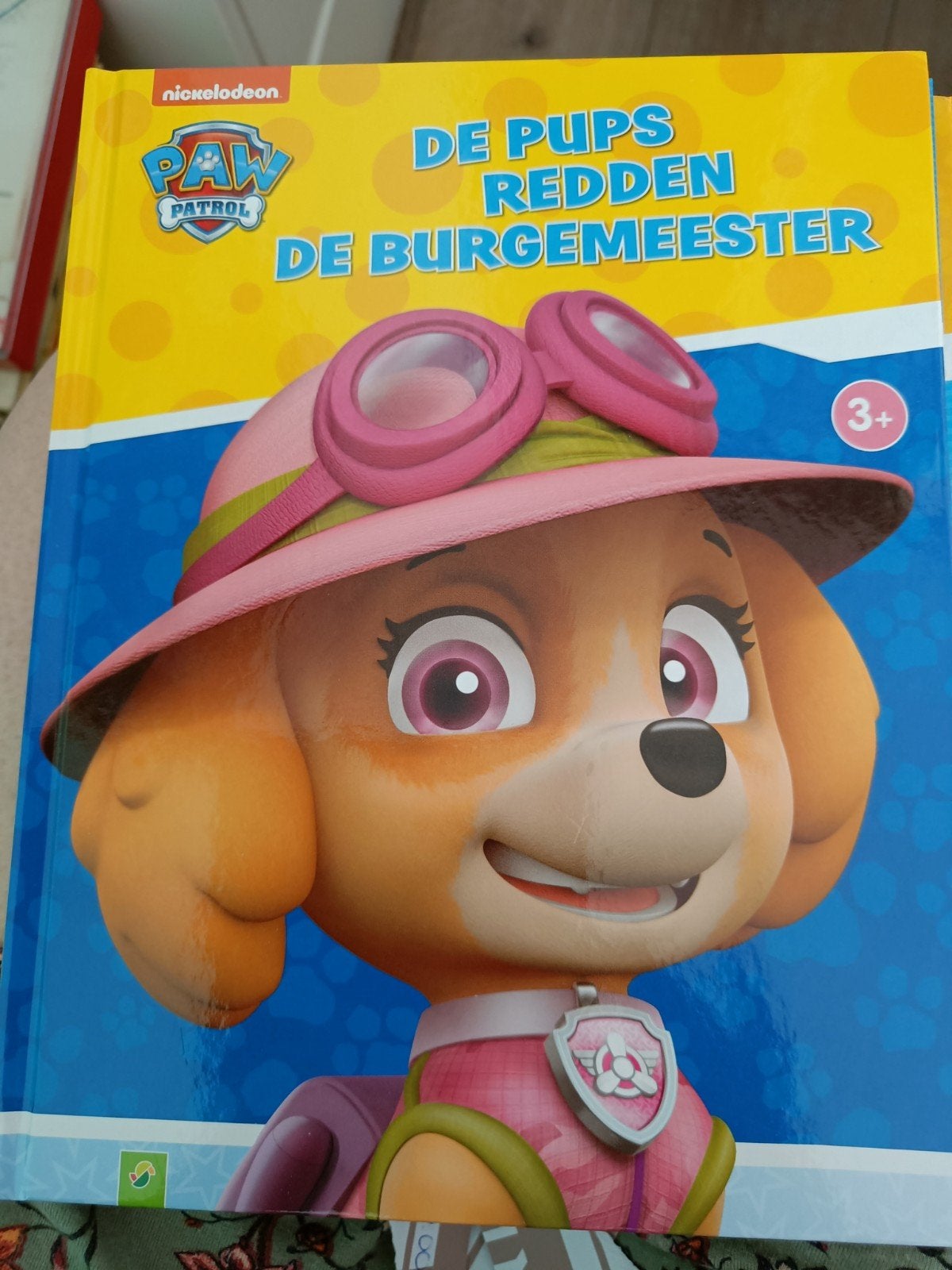 3 nieuwe Paw Patrol Boeken, Boeken, Kinderboeken | Baby's en Peuters, Ophalen of Verzenden, Nieuw, 3 tot 4 jaar