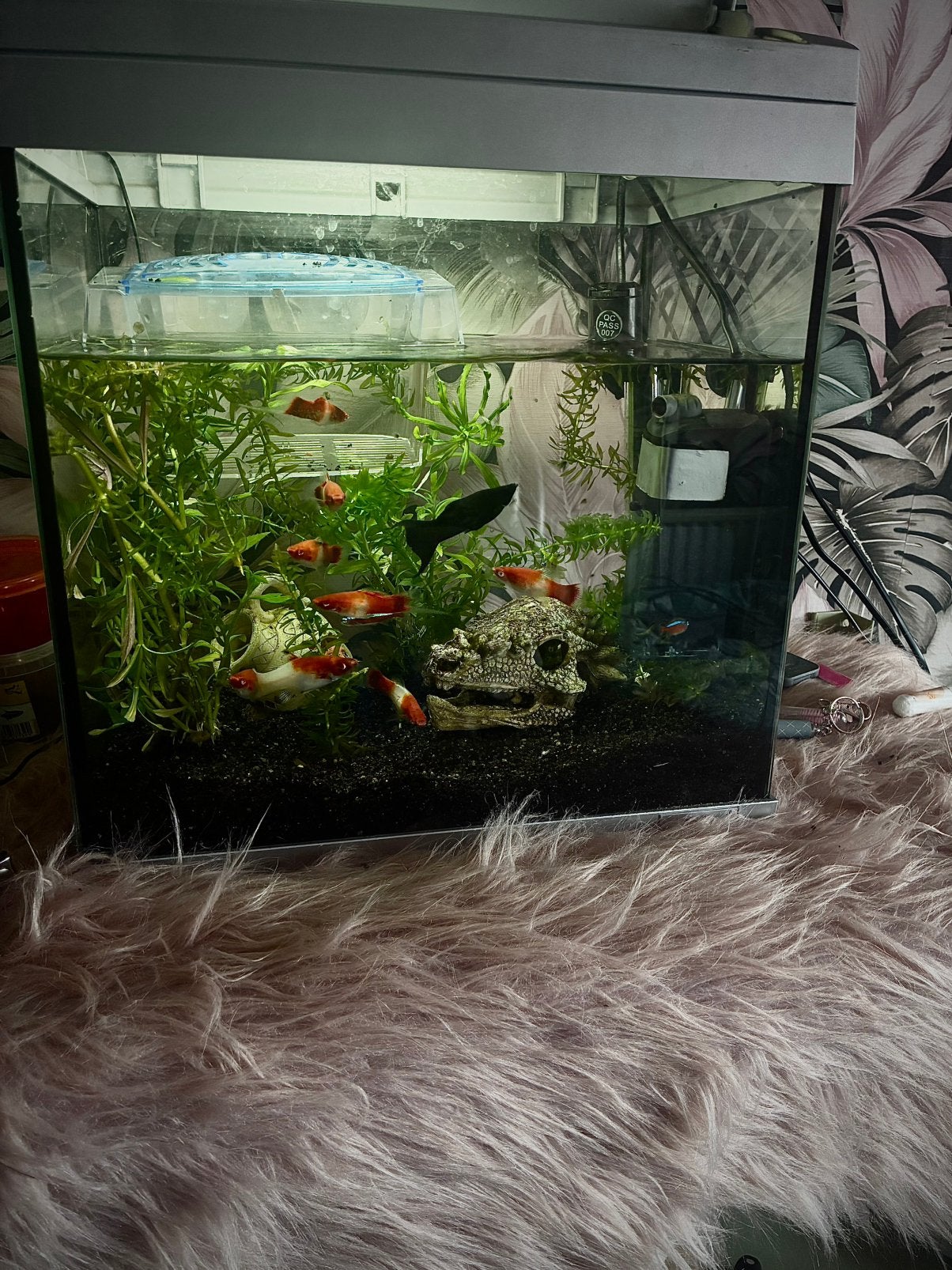 GEZOCHT!!!!!!!!!AQARIUM, Dieren en Toebehoren, Vissen | Aquaria en Toebehoren, Ophalen of Verzenden, Zo goed als nieuw