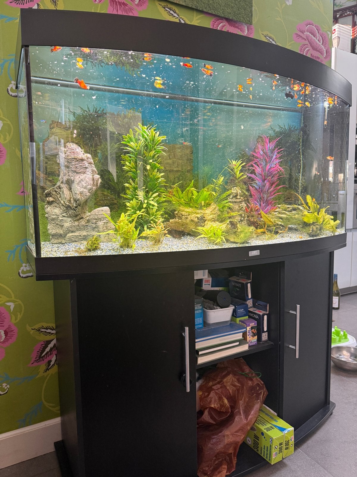 Juwel aquarium compleet, Dieren en Toebehoren, Vissen | Aquaria en Toebehoren, Ophalen, Gebruikt, Gevuld zoetwateraquarium