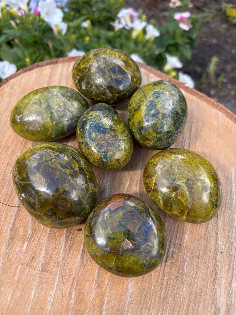 Groene Opaal Palmsteen, Sieraden, Tassen en Uiterlijk, Edelstenen, Ophalen of Verzenden, Nieuw