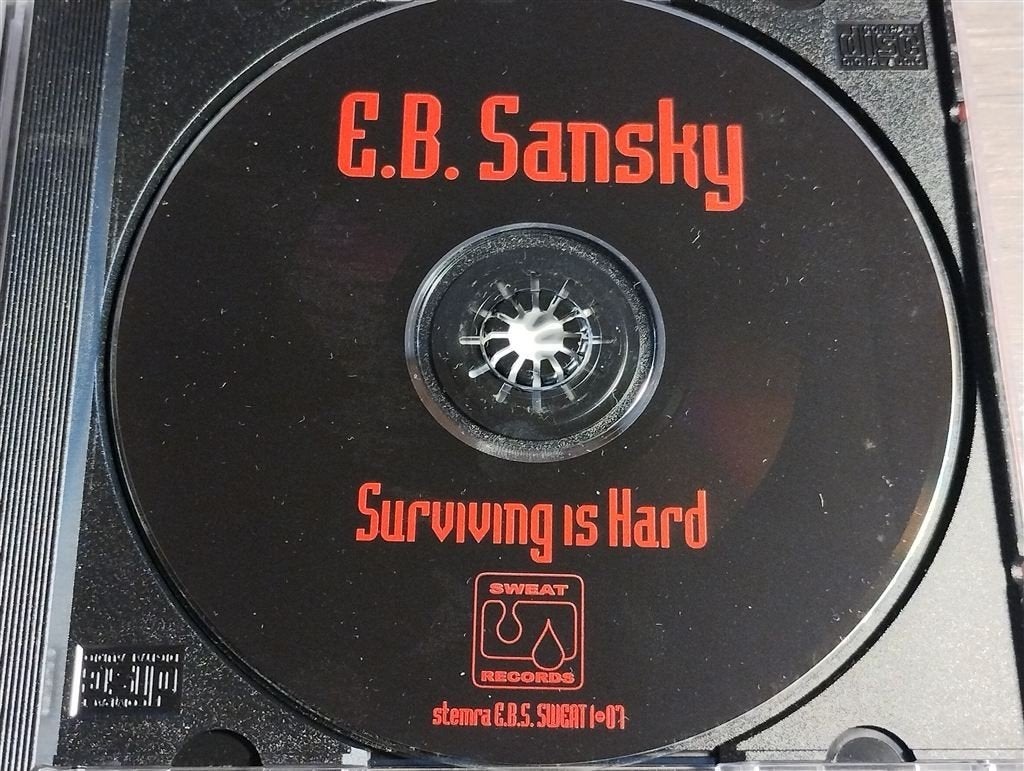 E.B. Sansky - Surviving Is Hard, Cd's en Dvd's, Ophalen of Verzenden, Zo goed als nieuw, Jazz
