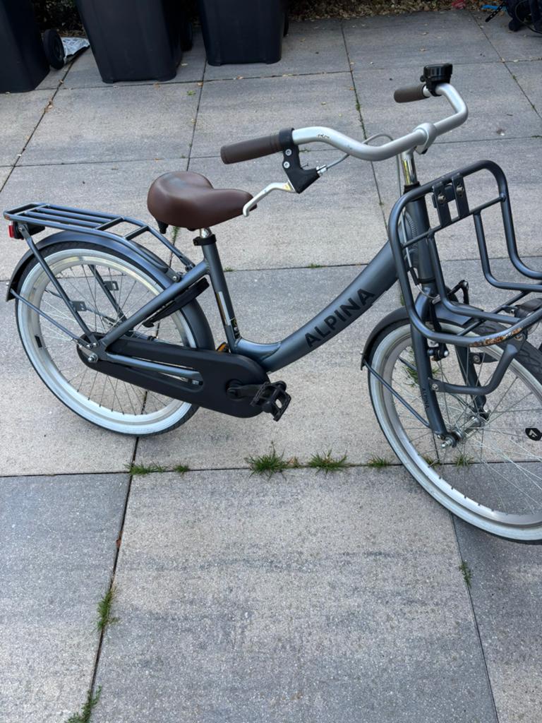 Alpina clubb, Fietsen en Brommers, Ophalen, Zo goed als nieuw, 20 inch