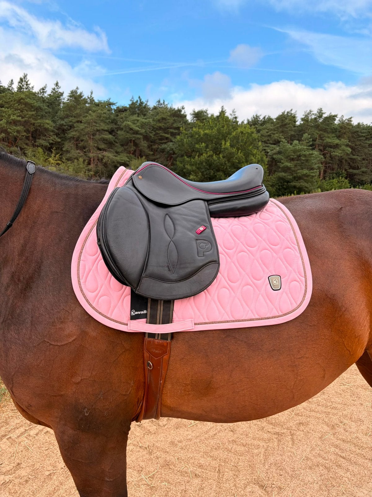 Prachtig zacht pariani springzadel, Dieren en Toebehoren, Paarden en Pony's | Zadels, Ophalen, Zo goed als nieuw, Springen