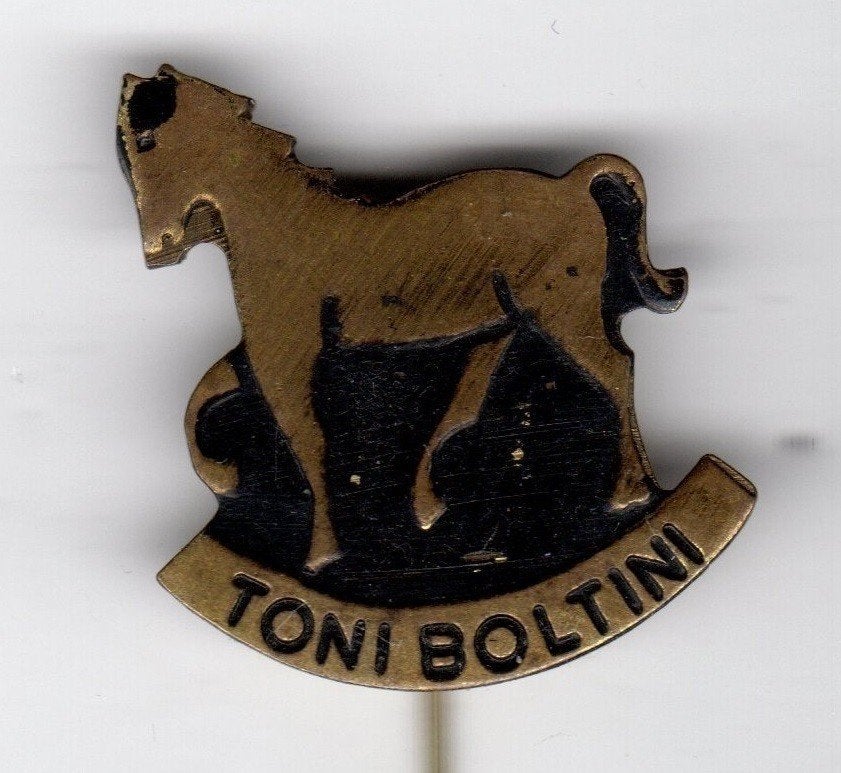 Speldje CIRCUS TONI BOLTINI PAARD ZWART GROOT (A9), Verzamelen, Ophalen of Verzenden, Gebruikt, Overige onderwerpen