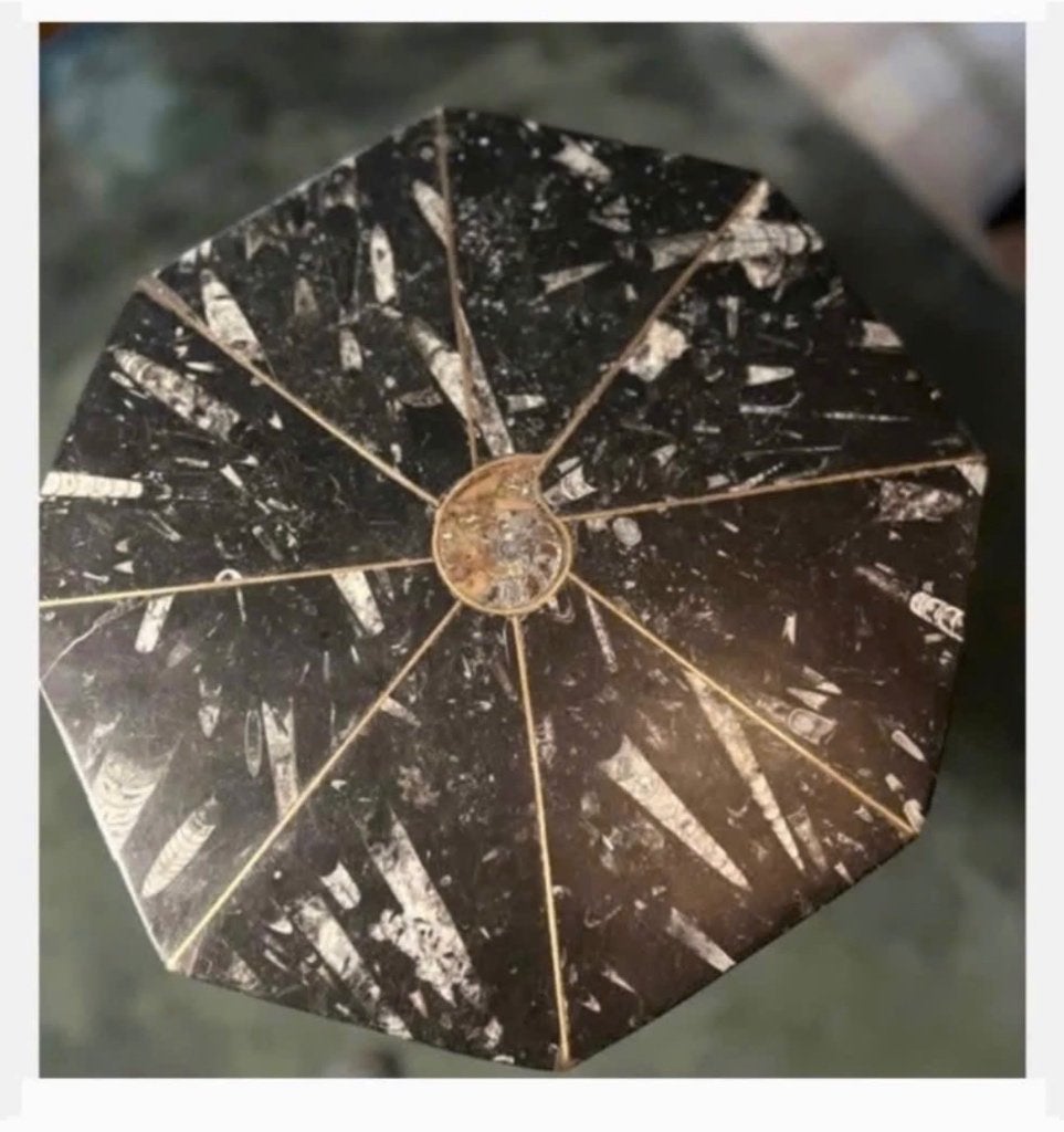 Tafel Fossiel zeedier ammoniet 8-kantige tafel orthoceras, Ophalen, Minder dan 50 cm, X, Rechthoekig