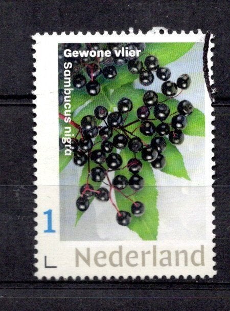 gestempelde zegel Persoonlijke: uit velletje van 3. vlierbes, Ophalen of Verzenden, Na 1940, Gestempeld
