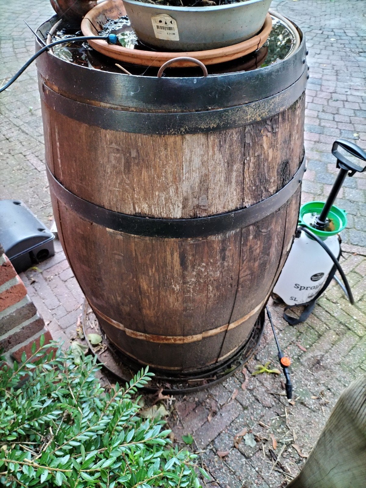 wijnvat met wat schade, 150 liter of meer, Ophalen of Verzenden, Gebruikt, Hout
