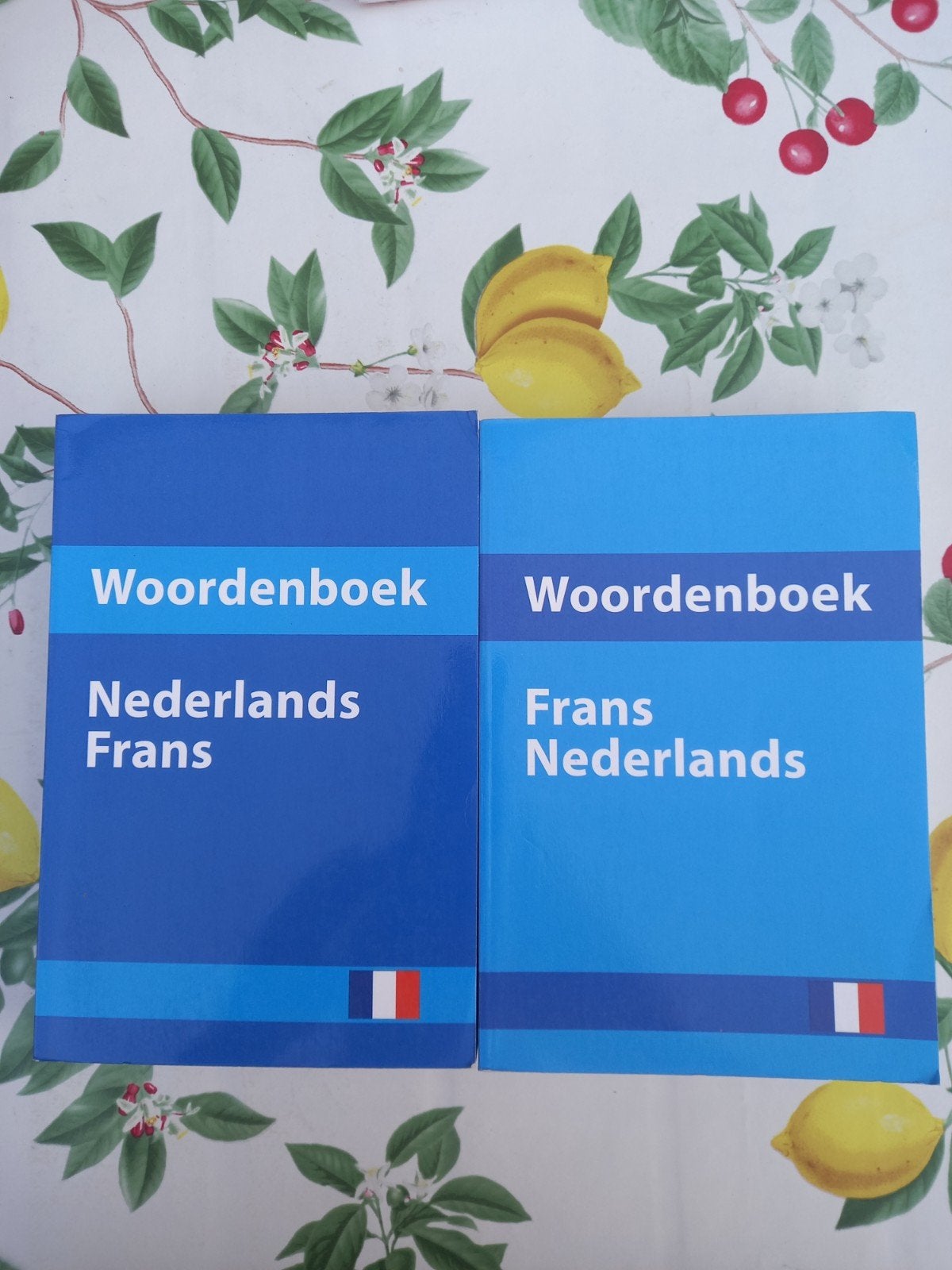 M9 Woordenboek Nederlands-Frans & Frans-Nederlands, Ophalen of Verzenden