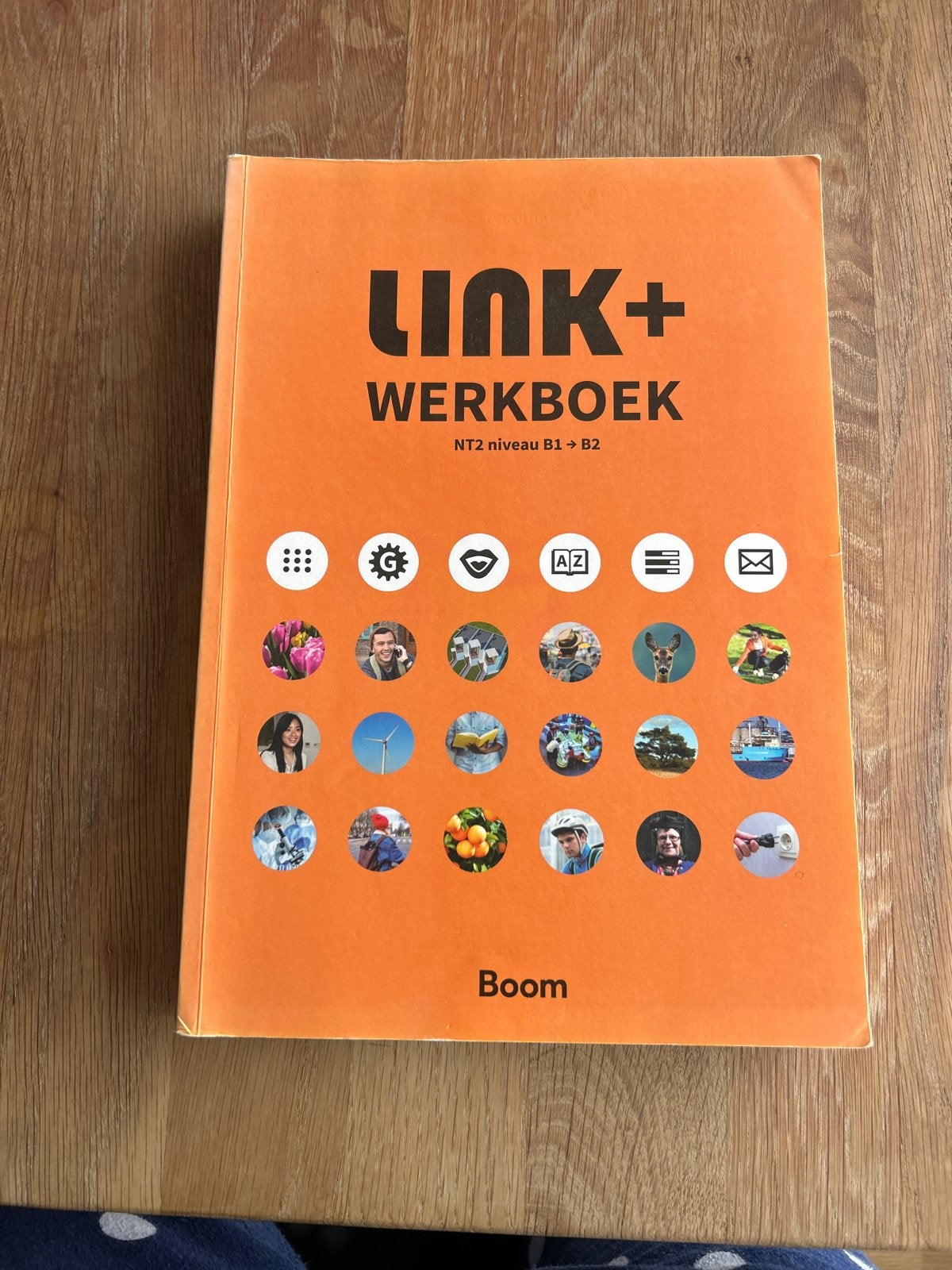 Link+ Werkboek NT2 niveau B1->B2 Boom, Ophalen of Verzenden, Alpha, Zo goed als nieuw, Overige niveaus