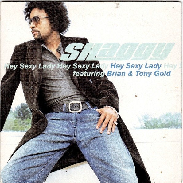 CD single Shaggy Feat. Brian & Tony Gold – Hey Sexy Lady, Ophalen of Verzenden, Gebruikt, Pop