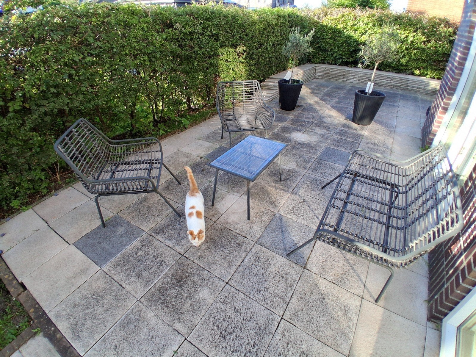 Set van 2 Tuinstoelen bankje en Bijzettafel, Ophalen, Gebruikt, Wicker
