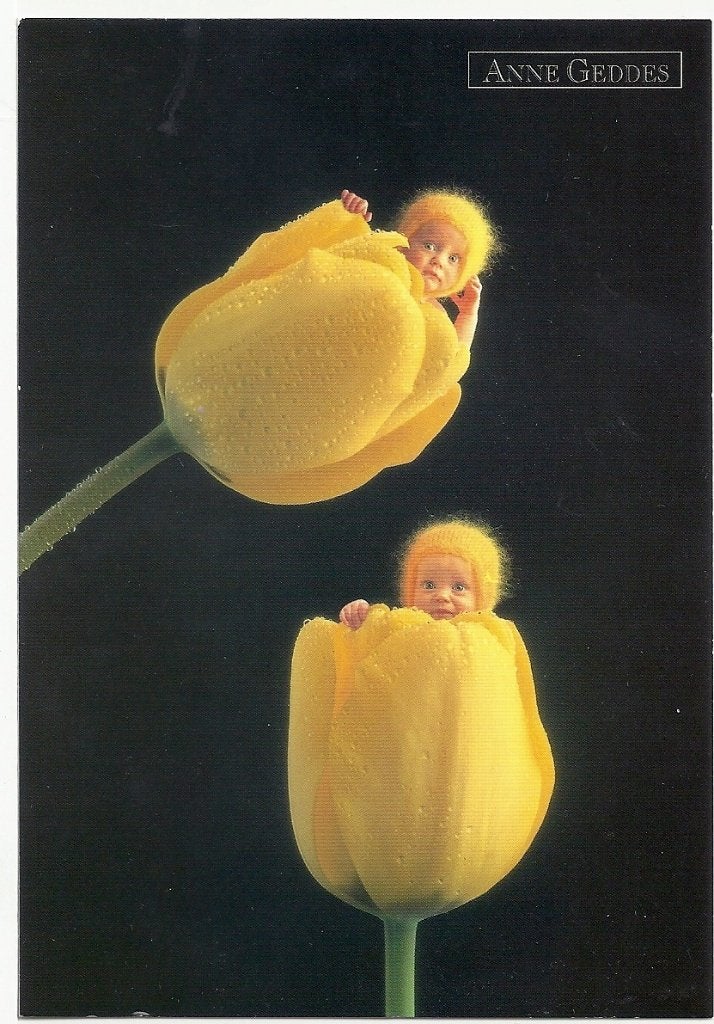 Anne Geddes, Verzenden, Ongelopen, Utrecht