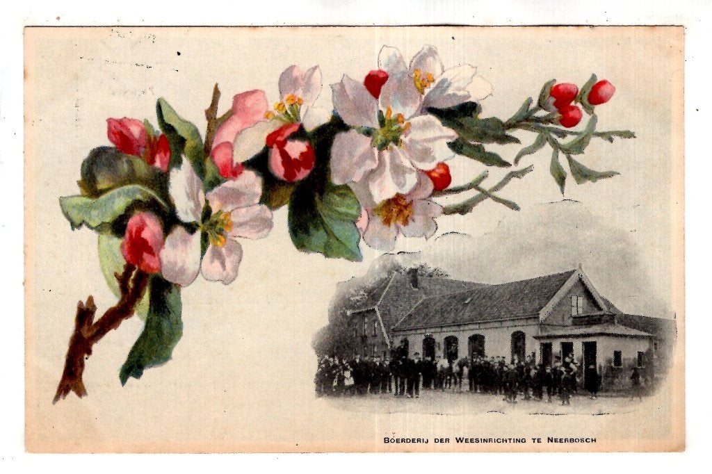 Nijmegen 1900 Inrichting Boerderij, Verzenden, Voor 1920, Ongelopen, Gelderland