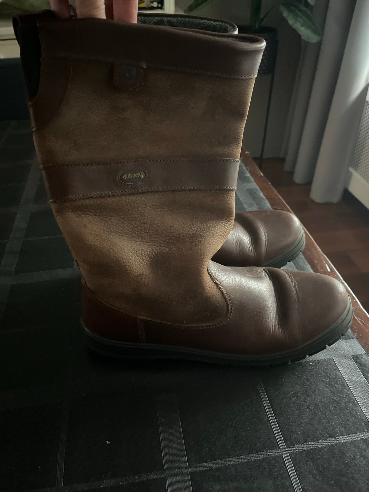 Dubarry Gore-Tex Laarzen - Bruin, Maat 42, Kleding | Dames, Schoenen, Ophalen of Verzenden, Gedragen, Bruin, Hoge laarzen